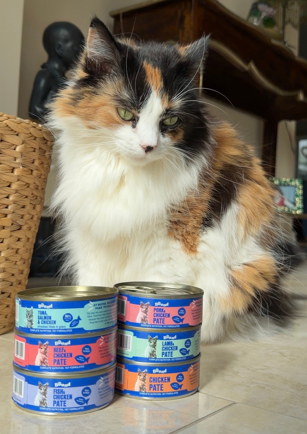 A fluffy cat sits indoors on a tiled floor with several stacked cans of wet cat food in the foreground. The setting appears to be a home interior with furniture and decor visible in the background.