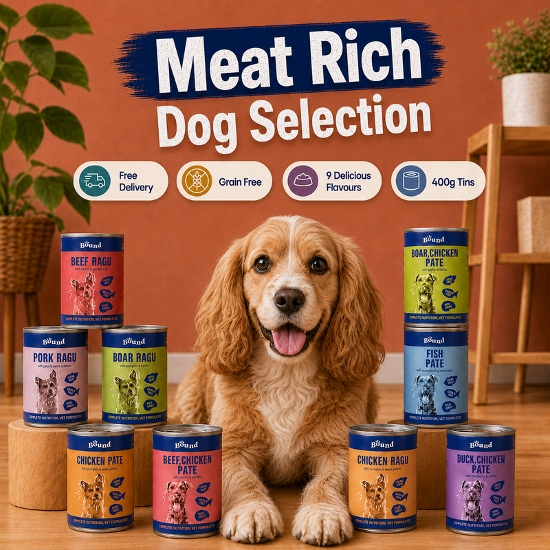 Meat-Rich Dog Food Selection
