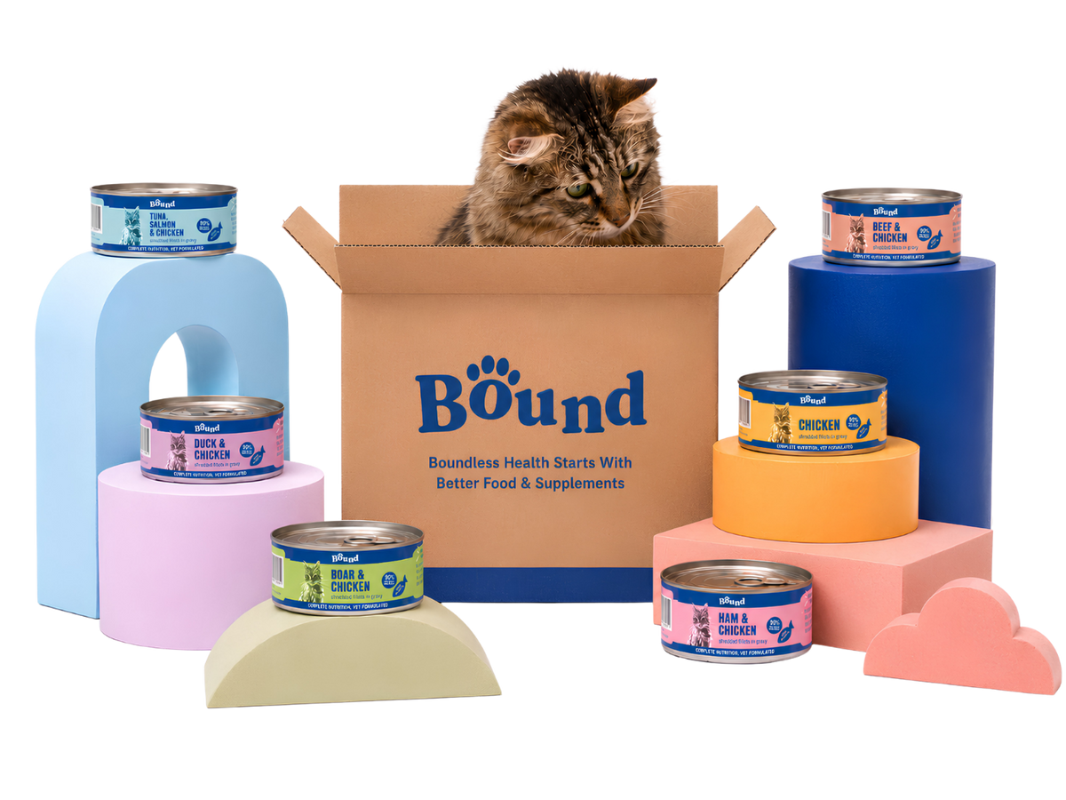 Bound Monthly Plan