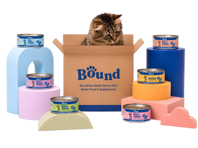 Bound Monthly Plan