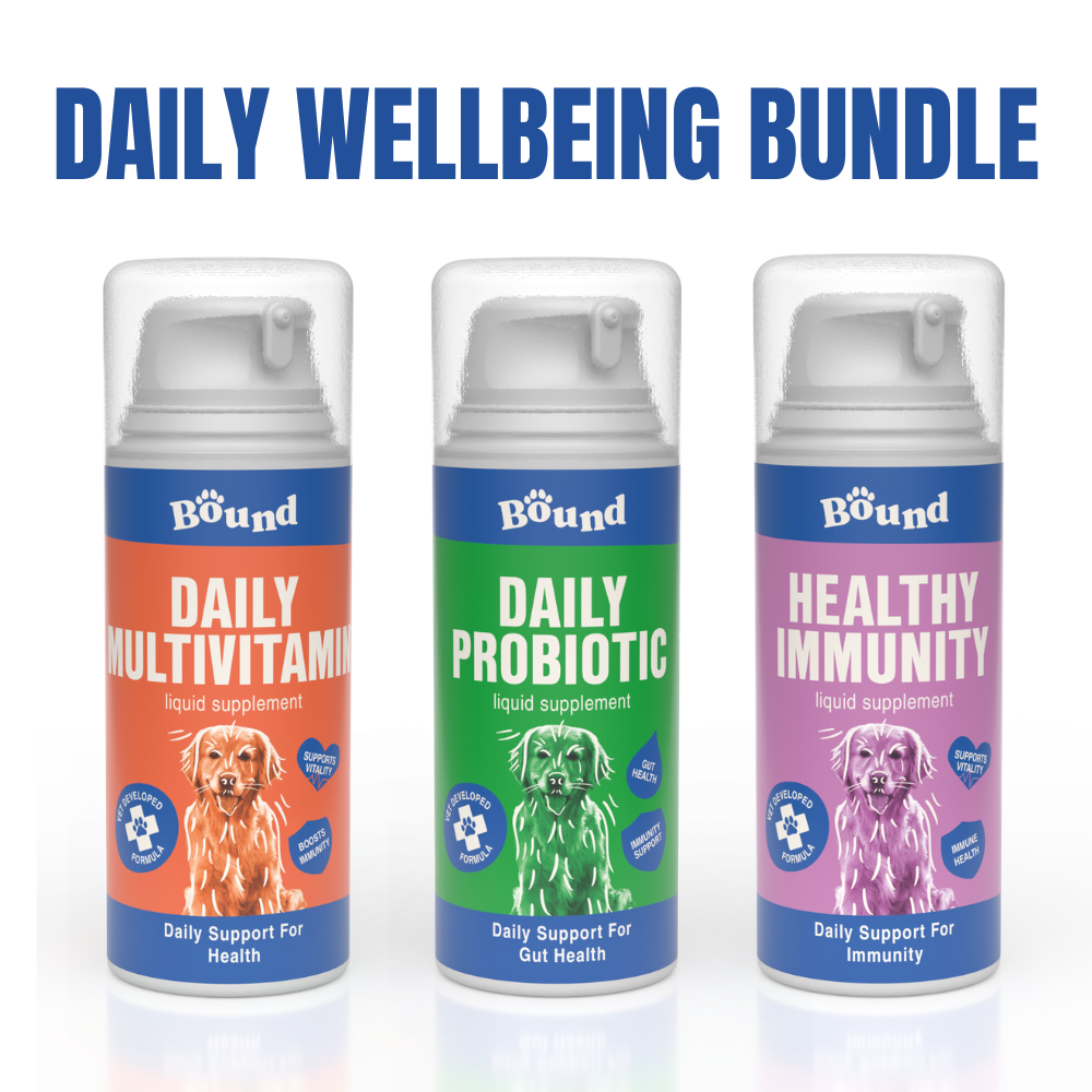 Daily Wellbeing Bundle