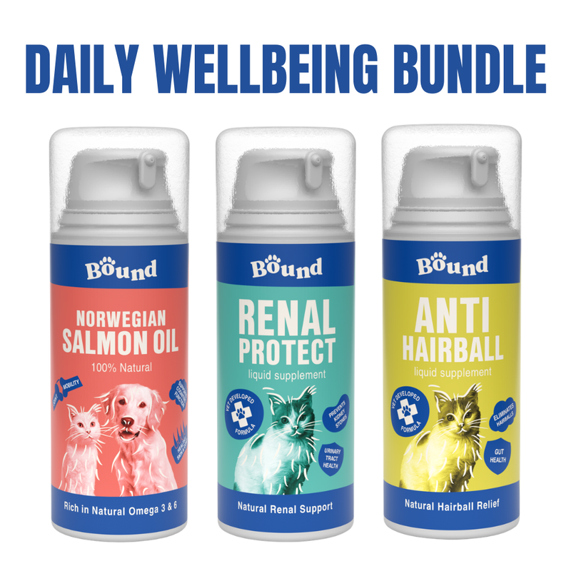 Daily Wellbeing Bundle