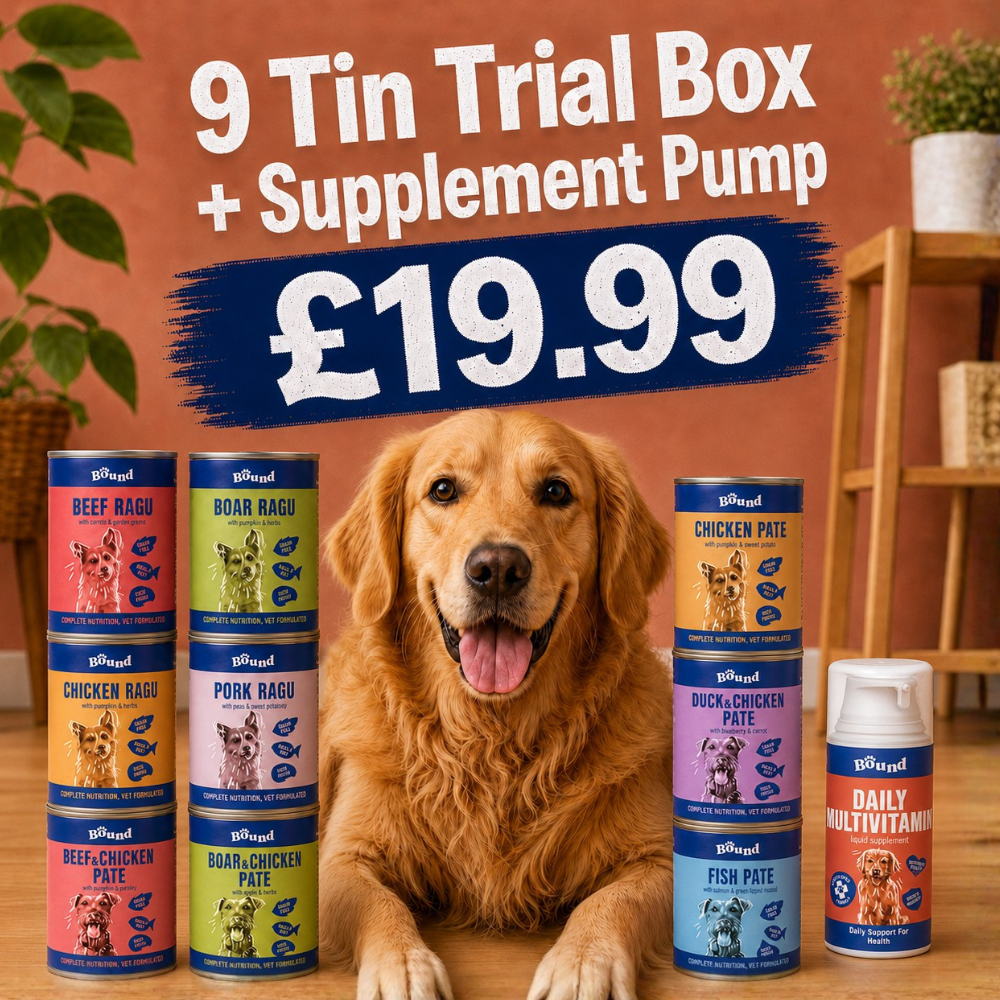 9 Meat-Rich Dog Meals + Free Multivitamin Supplement Pump