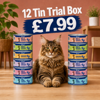 Shredded Discovery Trial Box (12x Tins)
