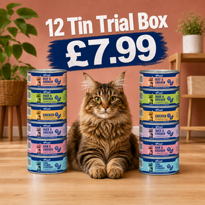 Shredded Discovery Trial Box (12x Tins)