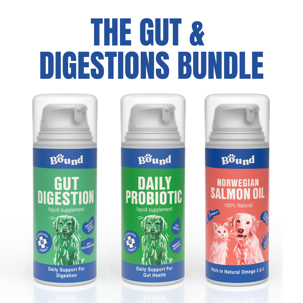 Gut & Digestion Bundle