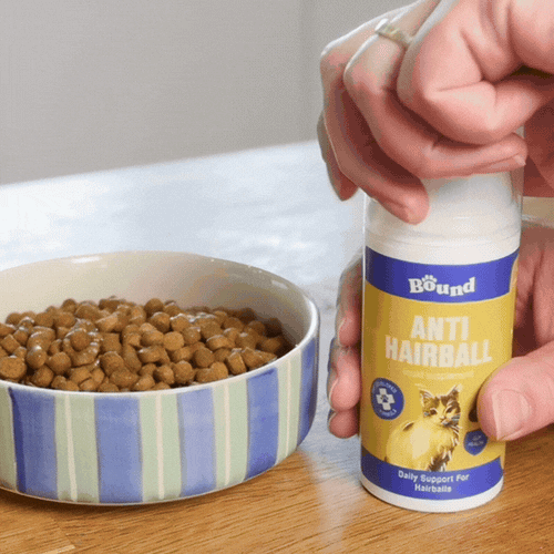 Anti-Hairball Daily Liquid Supplement