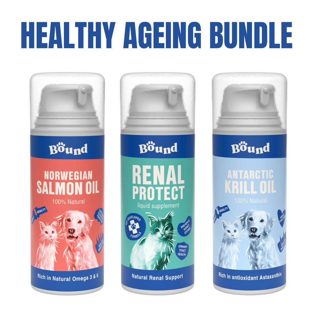 Healthy Ageing Bundle