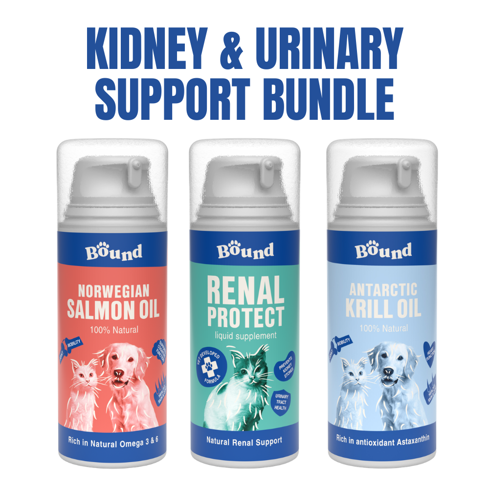 Kidney & Urinary Support Bundle