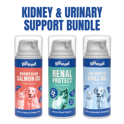 Kidney & Urinary Support Bundle