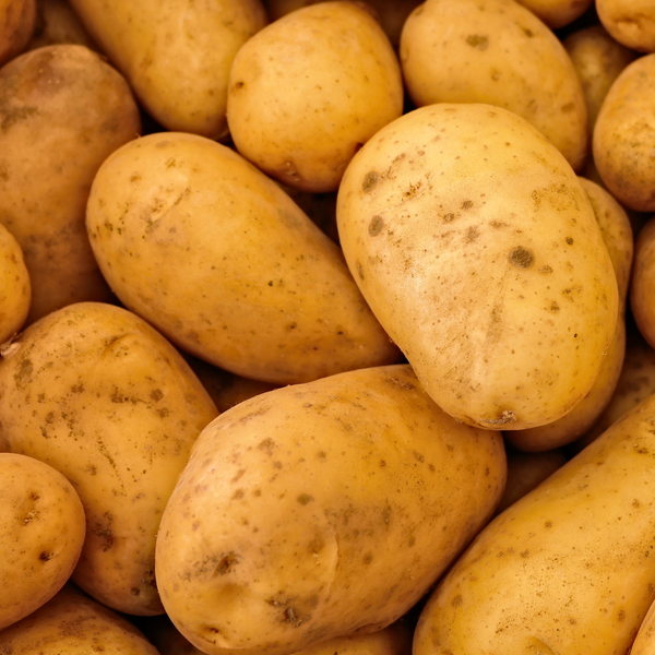 POTATO