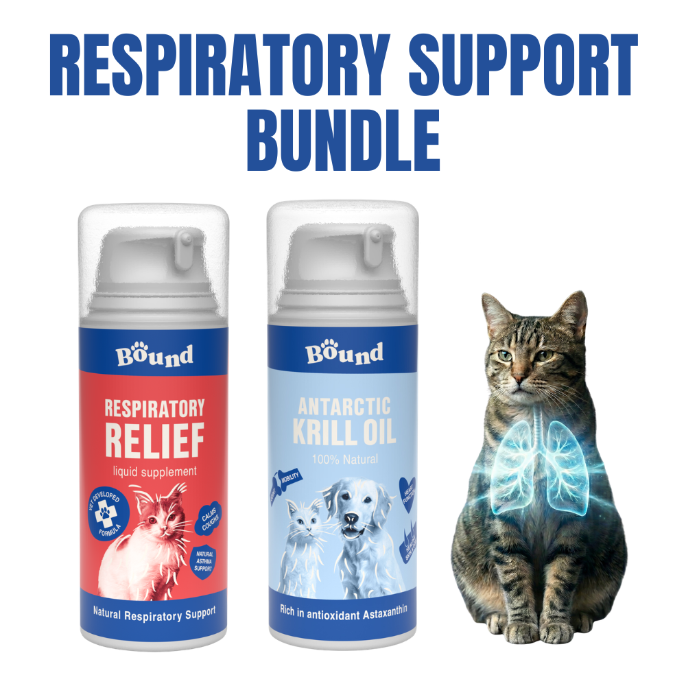 Respiratory Support Bundle