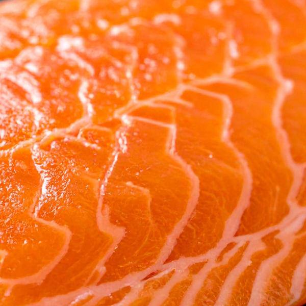 SALMON