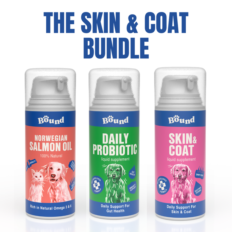 Skin & Coat Bundle