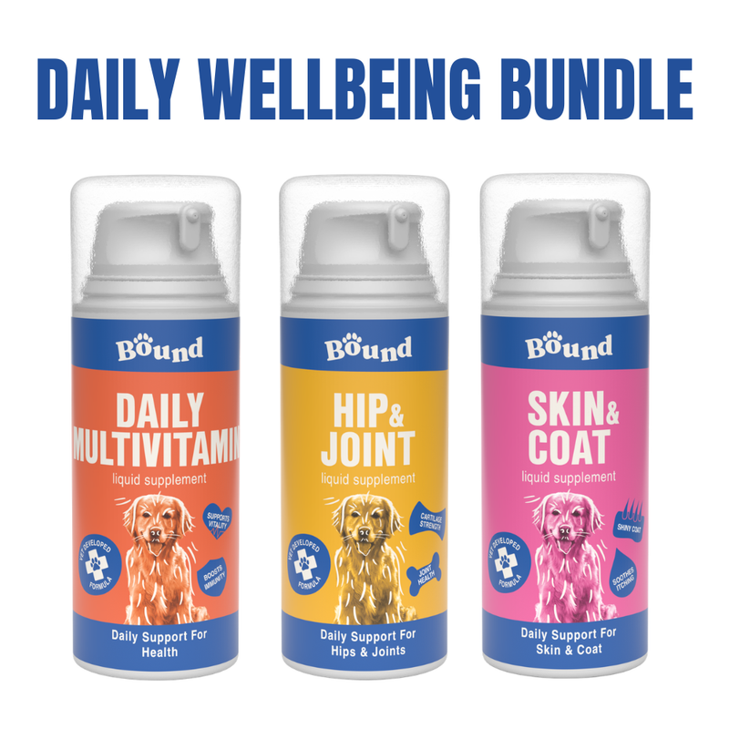 Daily Wellbeing Bundle
