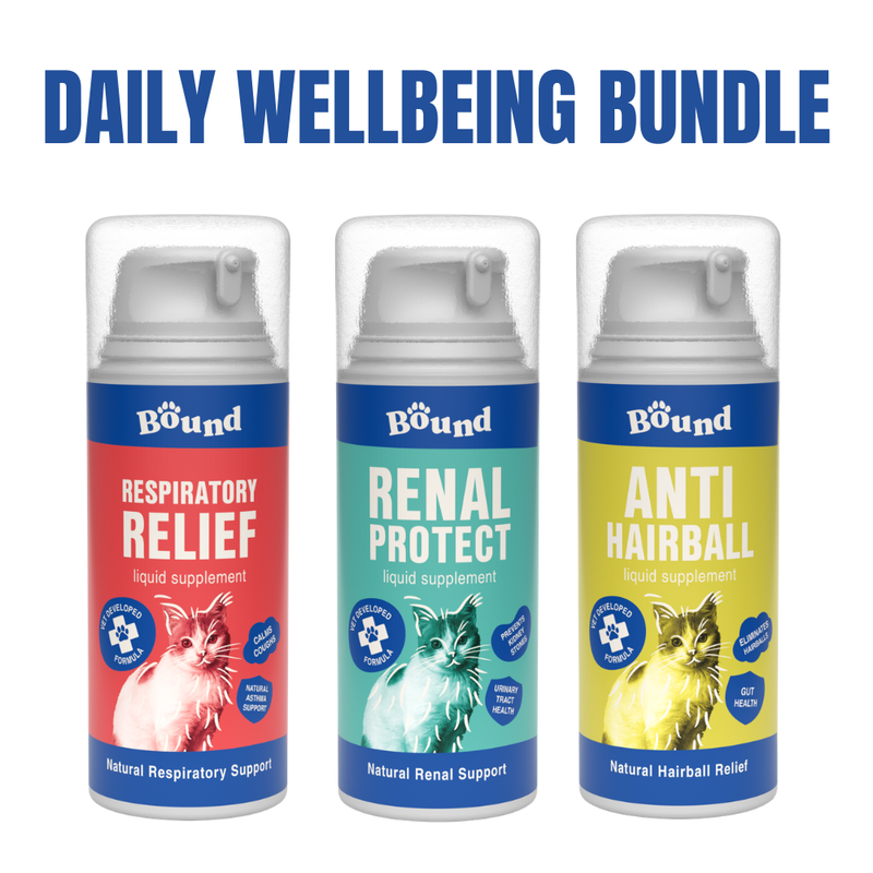 Daily Wellbeing Bundle