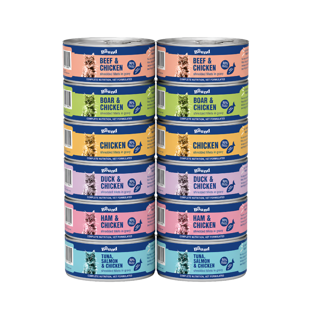Shredded Discovery Trial Box (12x Tins)