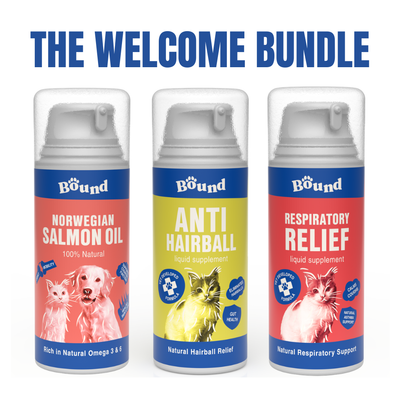 Cat Welcome Bundle