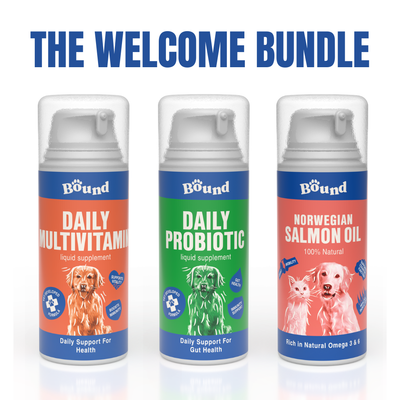 Dog Welcome Bundle