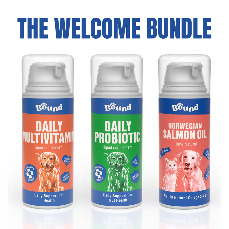 Dog Welcome Bundle