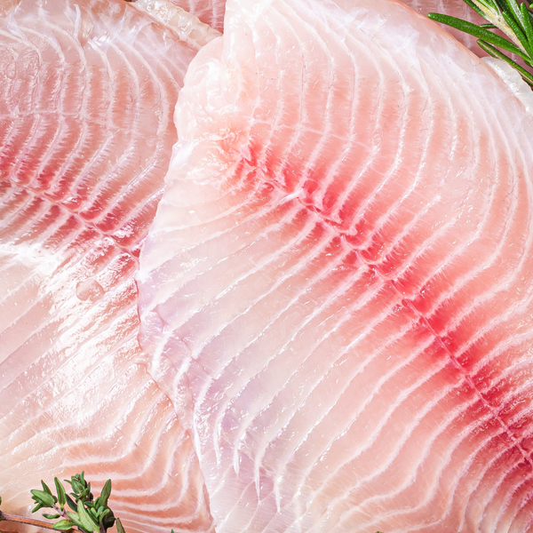 WHITE FISH